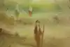 Thumbnail image 9