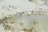 Thumbnail image 8