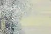 Thumbnail image 9