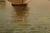 Thumbnail image 11