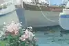 Thumbnail image 14