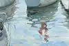 Thumbnail image 15