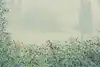 Thumbnail image 1