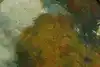 Thumbnail image 10
