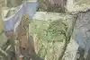 Thumbnail image 10