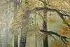 Thumbnail image 10