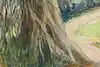 Thumbnail image 9
