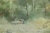 Thumbnail image 1