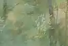 Thumbnail image 9
