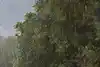 Thumbnail image 12