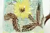 Thumbnail image 6