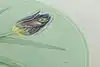 Thumbnail image 6