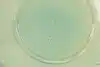 Thumbnail image 5