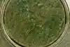 Thumbnail image 5
