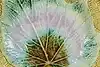 Thumbnail image 1