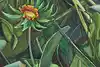 Thumbnail image 10
