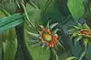 Thumbnail image 12