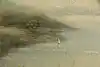 Thumbnail image 8