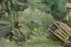 Thumbnail image 9