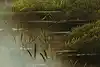 Thumbnail image 11
