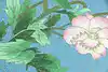 Thumbnail image 4