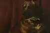 Thumbnail image 1