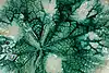 Thumbnail image 1