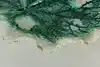 Thumbnail image 4