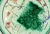 Thumbnail image 1