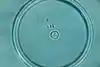 Thumbnail image 5