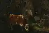 Thumbnail image 1