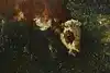 Thumbnail image 10