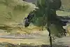 Thumbnail image 7