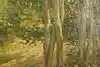 Thumbnail image 10