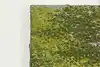 Thumbnail image 3