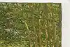 Thumbnail image 4