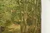 Thumbnail image 6