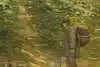 Thumbnail image 9