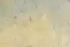 Thumbnail image 12