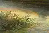Thumbnail image 10