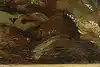 Thumbnail image 12