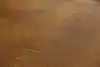 Thumbnail image 18
