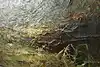 Thumbnail image 11