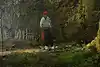 Thumbnail image 7