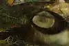 Thumbnail image 9