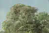 Thumbnail image 9