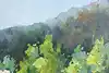 Thumbnail image 14