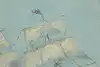 Thumbnail image 10