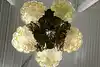 Thumbnail image 16