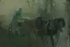 Thumbnail image 9